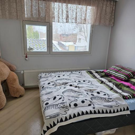 Savonlinnan keskusta, undefined