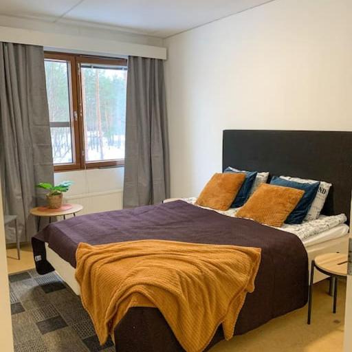 2BR Apartment KA22, free parkig, sauna, big balcony, undefined