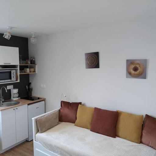 Studio rénové hypercentre, undefined