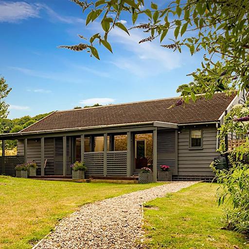 The Artist's Studio, undefined