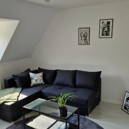 Zentrale Ferienwohnung direkt am Bergmannsheil WLAN, undefined