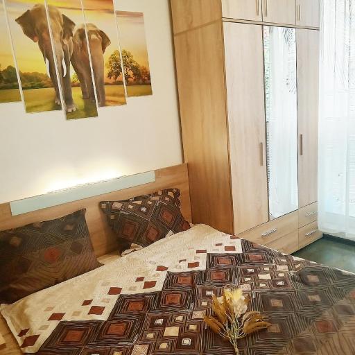 Alis Savana, undefined