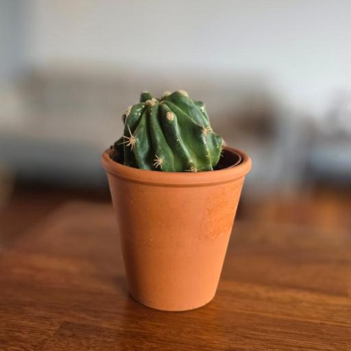 Nieczynne, undefined