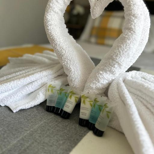 Dana guest suite, undefined