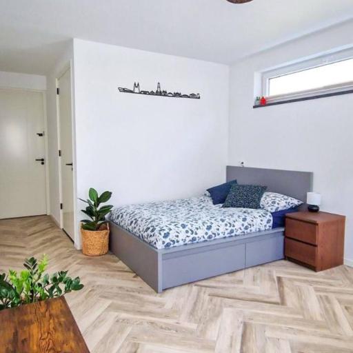 Modern & Convenient Studio, undefined