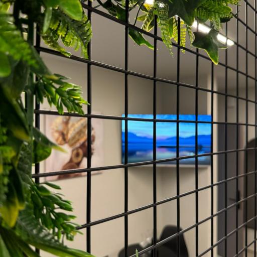 Baja Suites, undefined