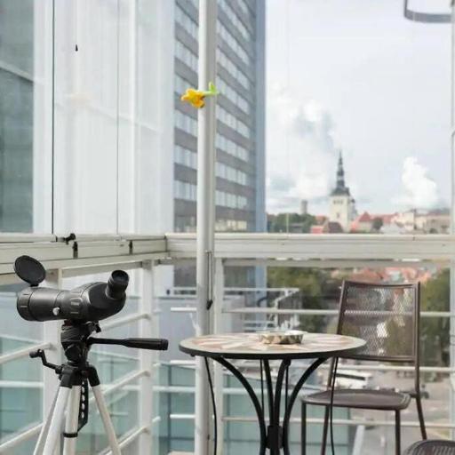 Cozy 3-room Penthouse in the very Heart of Tallinn, undefined