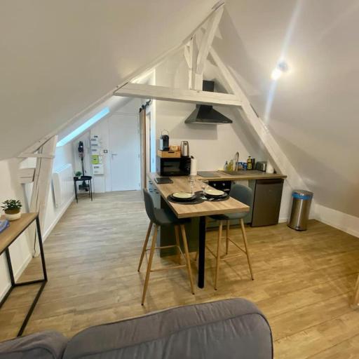 Chaleureux studio hyper centre, undefined