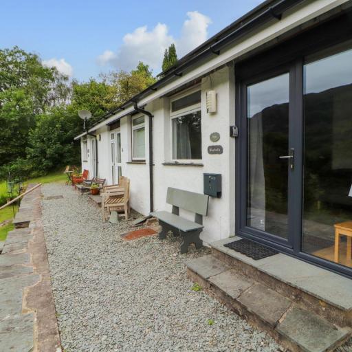 Bluebells, undefined