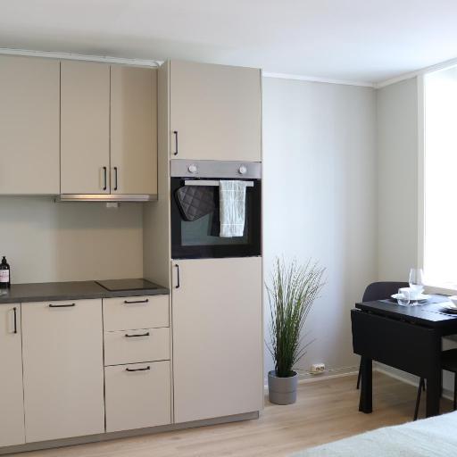 One-bedroom apartment close to NTNU and St Olavs, undefined