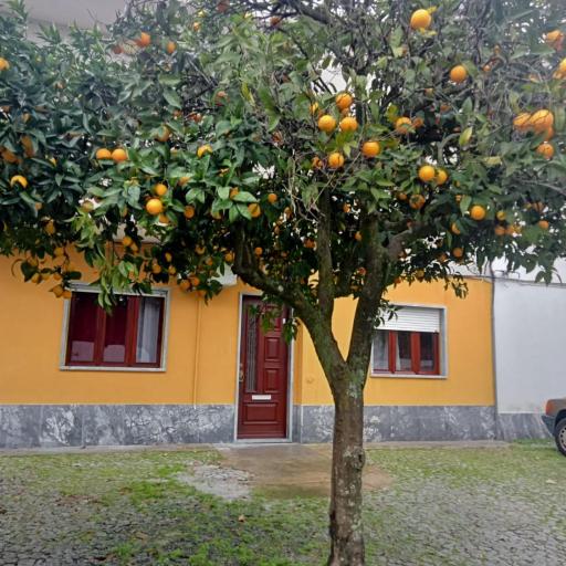 Evora Domus, undefined