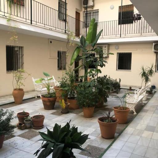 Sevilla San Bernardo apartamento, undefined