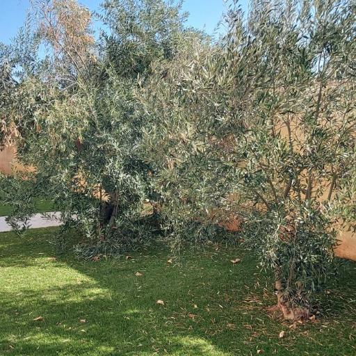 Gianni & Sophia airport house, undefined