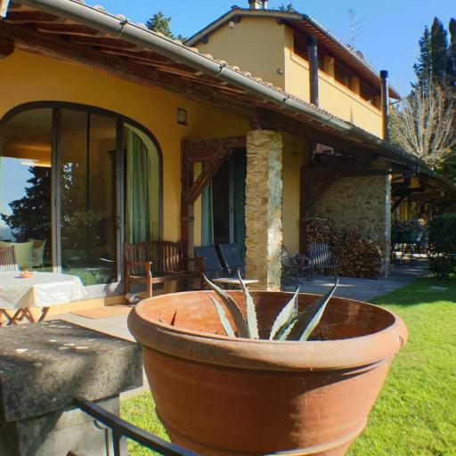 Carpe Diem, undefined