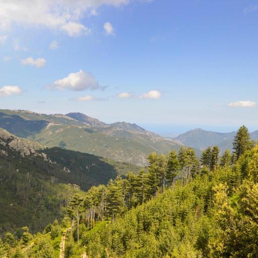 1 Bedroom Lovely Apartment In Ghisoni, undefined