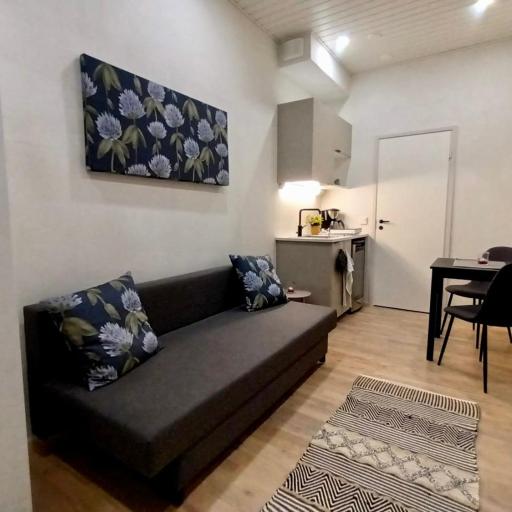 Uusi miniasunto Hiukkavaarassa ilmaisella pysäköinnillä, undefined