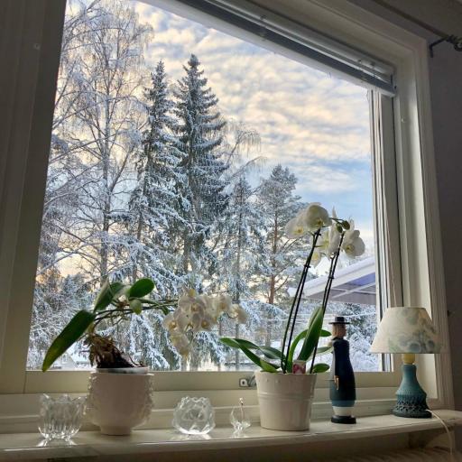 Cozy room surrounded by nature, undefined