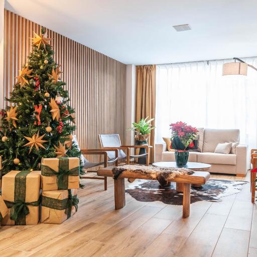 Hotel Viella, undefined