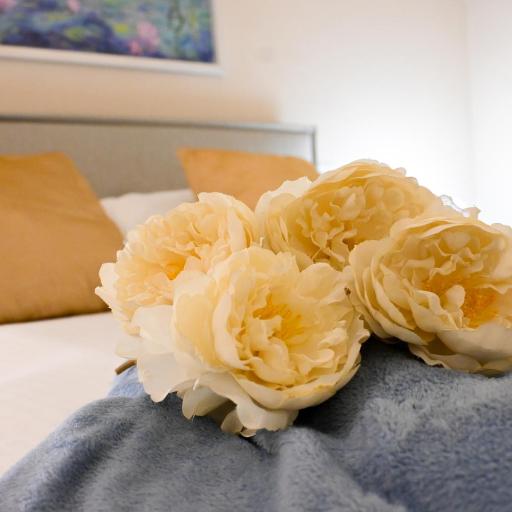 Inn Pisa Rentals - Pisa Tower Flat, undefined