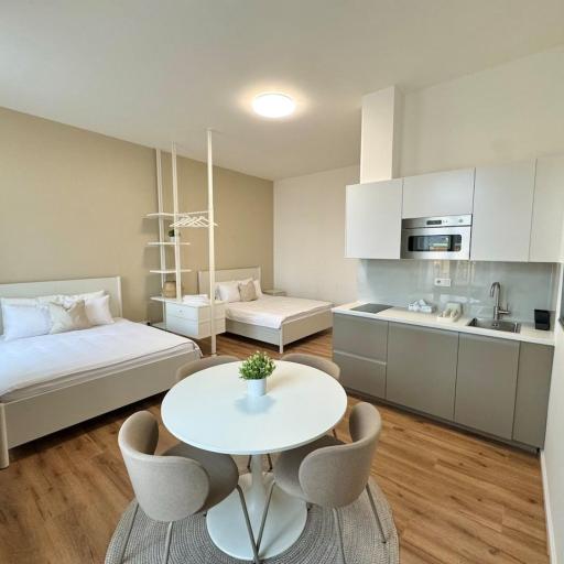 Modern 2BED with st Ludmila view and entire square, undefined