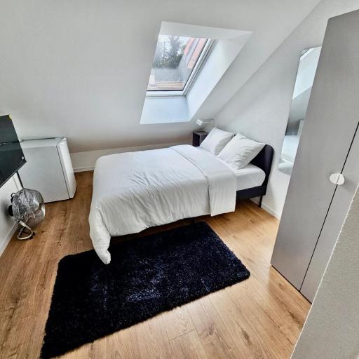 Private & Shared Stays in Lausanne, undefined