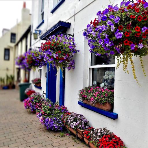 Bonjour Guest house, undefined