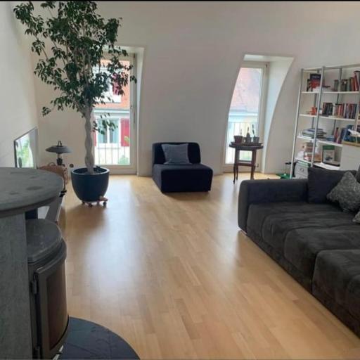 House with garden, undefined