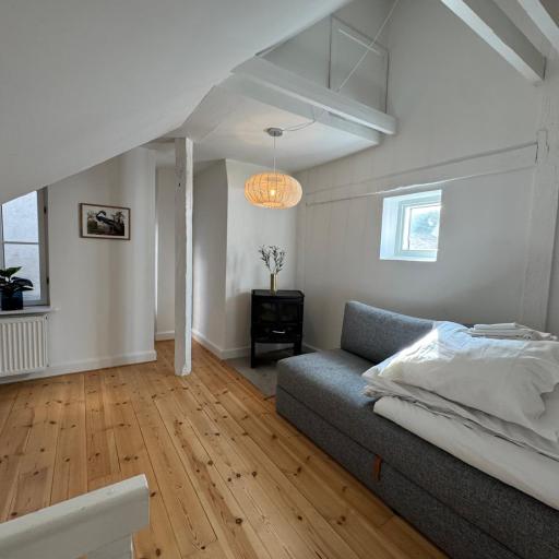 Kattesundet Apartments Best Location in Copenhagen, undefined