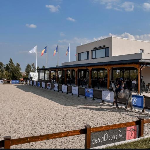 Black Sea Horses, undefined