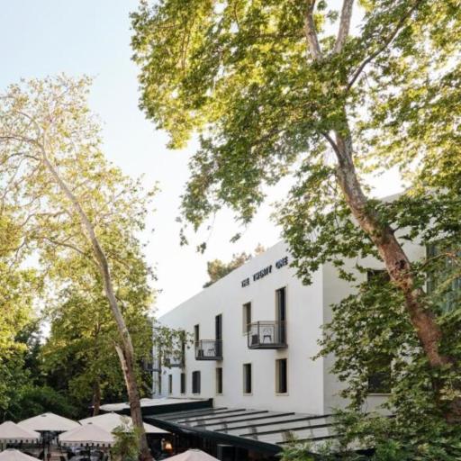 The Twentyone, undefined