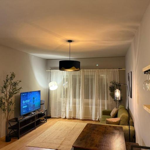 Un cocon cosy en plein Lausanne, undefined