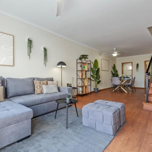 SUPER Rabbit, undefined