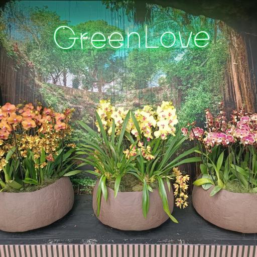 Green Rooms Gdańsk, undefined