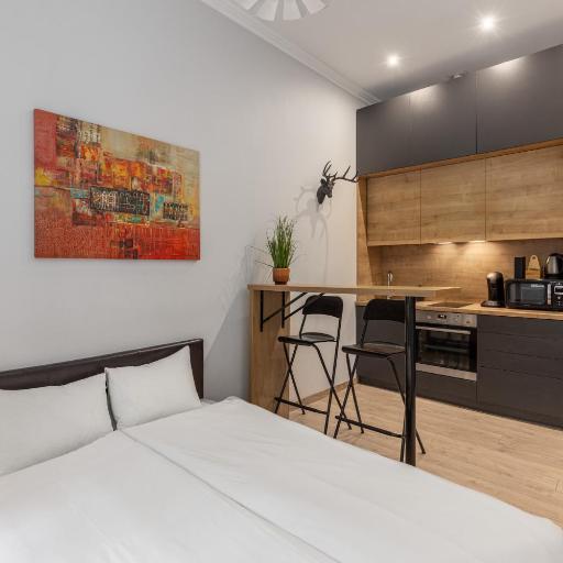 Budget friendly studio near Xiomi Arena, undefined