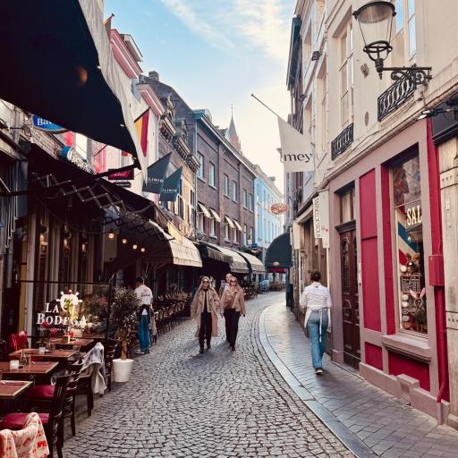 Rooftop Terrace Escape in the Heart of Maastricht, undefined