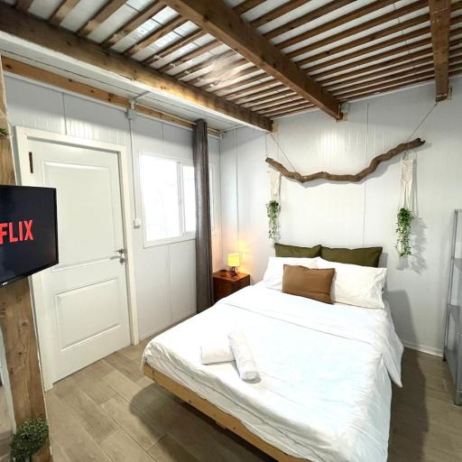 Blue Emerald, undefined