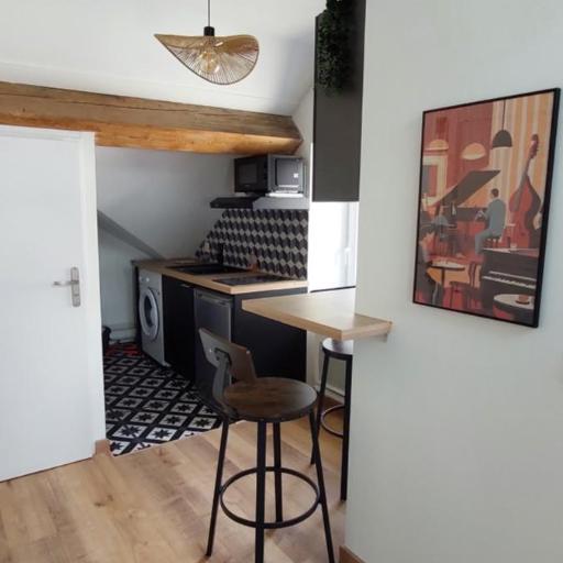 Alpine Stay Studio mansardé Chorrier Berriat Clinique Mutualiste, undefined