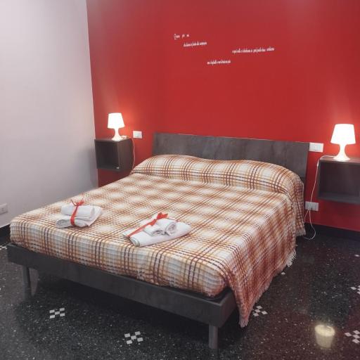 DOMUS SUPERBA, undefined