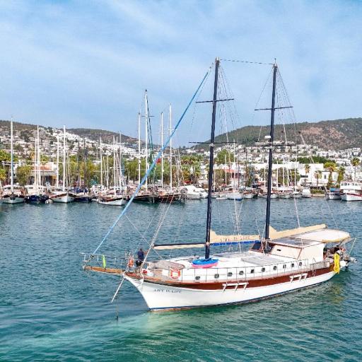 Lıfe ıs lıfe, undefined