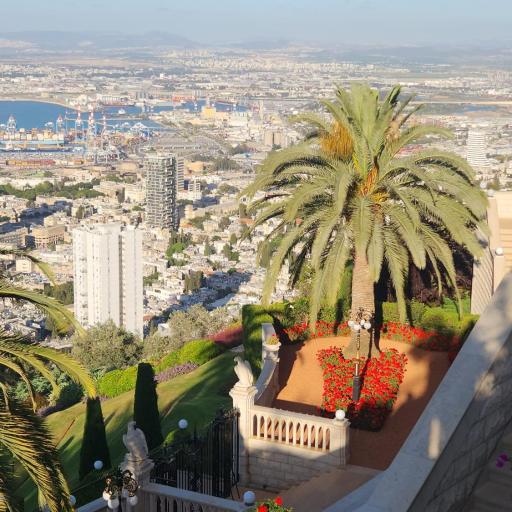 הפנינה בכרמל, undefined