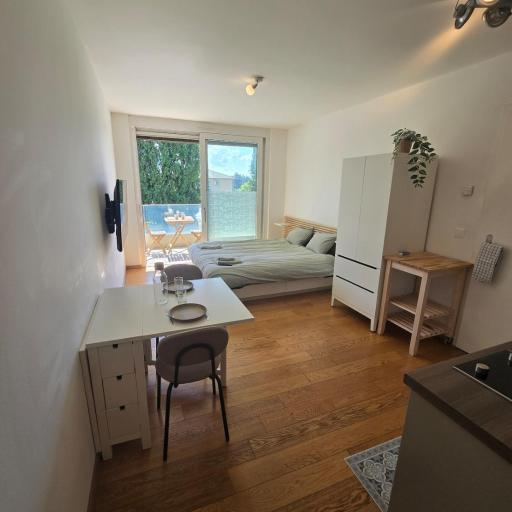 Cozy studio with a terrace, undefined