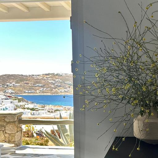 Oro suites view, undefined