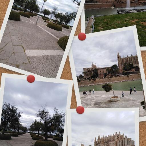 City Haven Palma, undefined