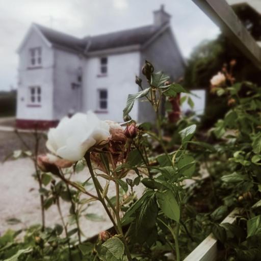 The Home House, undefined