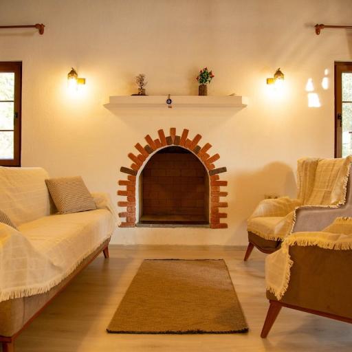 Okaliptus, undefined