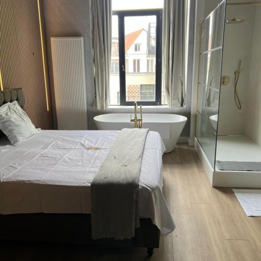 8Z Dreamz 3, undefined