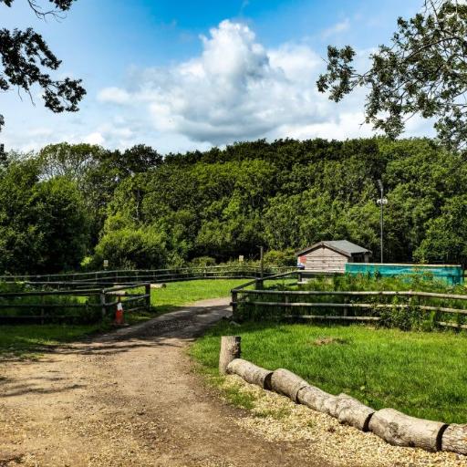 Springfield Oaks campsite, undefined