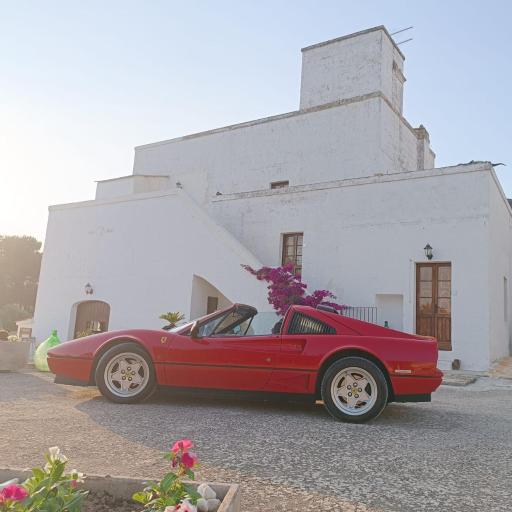 Masseria Le Mesolecchie, undefined