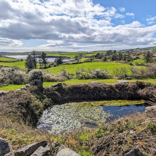 West Colla Place, undefined