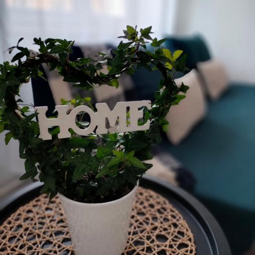 Apartament Baldachówka, undefined